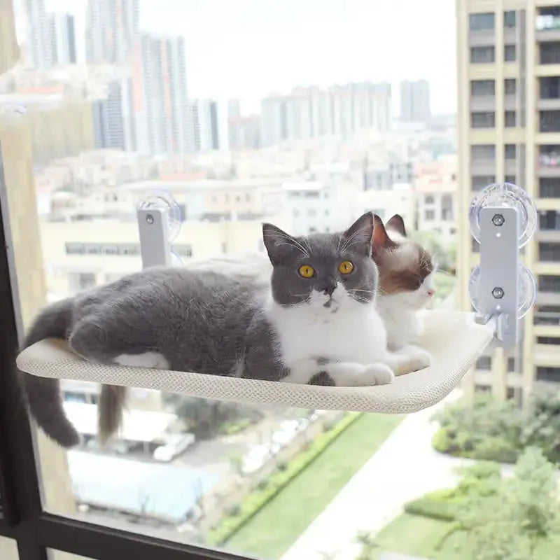 Cat Suction Cup Window Glass Hammock Pet Cat Pets Products Meifu Market