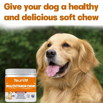 Pet Vitamin Multifunctional Health Care Products Dog Meifu Market