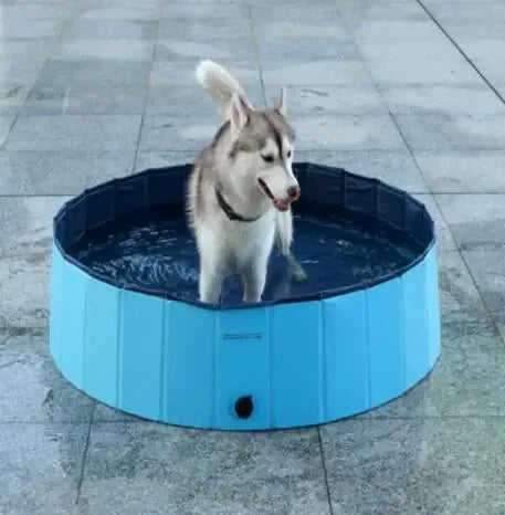Pet Pool Dog Swimming Pool Foldable Large Dog Bath Supplies Meifu Market