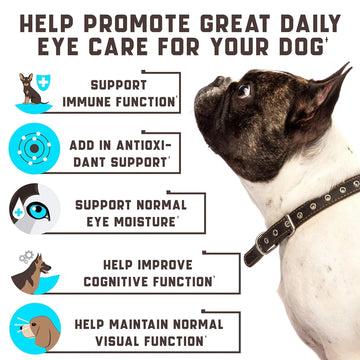 Do Not Sell On Amazon Eye Vitamins For Dogs Dog Vision Supplement For Tear Stains Dog Eye Care Immune Support Vitamin Meifu Market