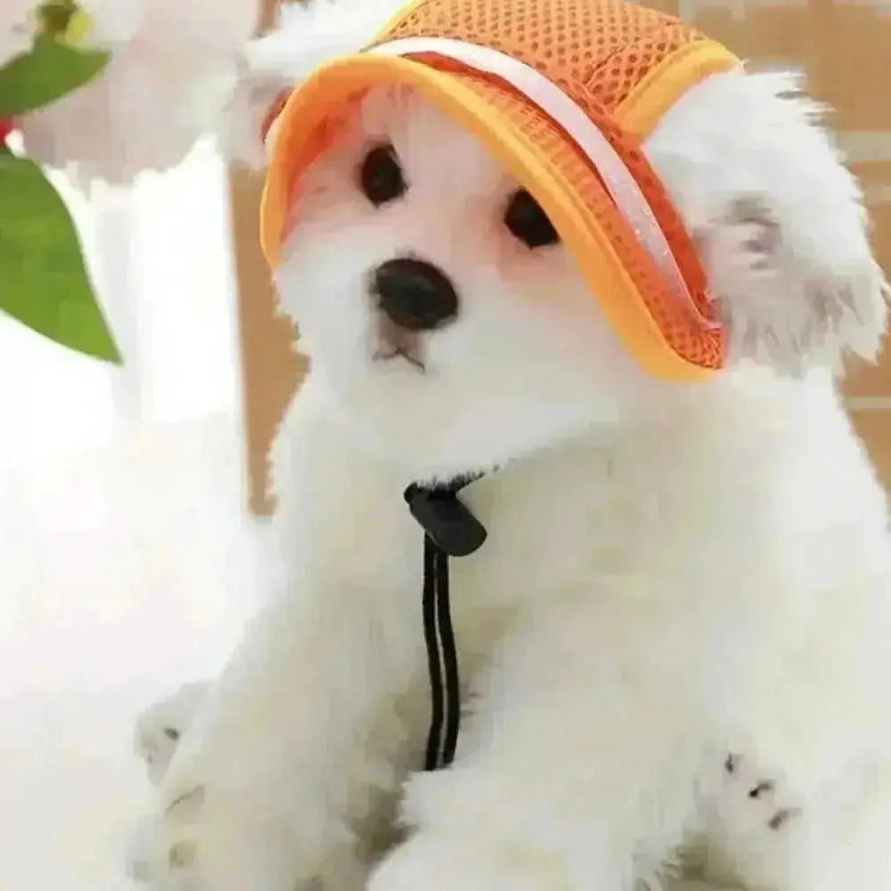 adjustable pet sun hat | uv protection for dogs | sun hat for cats | ultrasonic cleaning