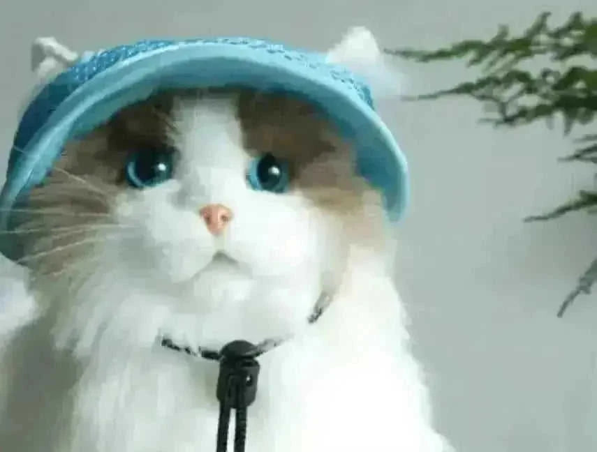 adjustable pet sun hat | uv protection for dogs | sun hat for cats | energy saving