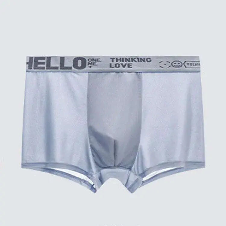 Ice Silk Men's Boxer Briefs - Breathable Cooling Underwear XXXXL - available style options