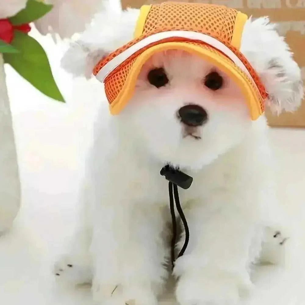 adjustable pet sun hat | uv protection for dogs | sun hat for cats | ultrasonic cleaning