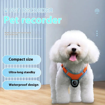 Pets Recorder Pet Tracker Collar Dogs And Cats Viewing Angle Motion Recording Camera Action Camera With Video Records Cat Collars Camera Sport Pet Products Meifu Market