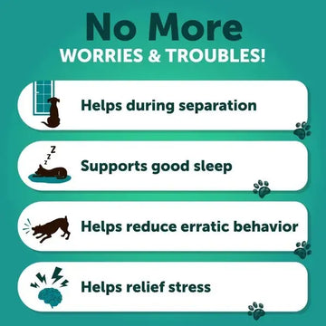 Hemp Calming Chews For Dogs Dog Anxiety Relief Treats With Hemp Oil Turmeric Valerian Ginger Health And Wellness Supplements For Dogs Hip And Joint Support 120 Treats Meifu Market