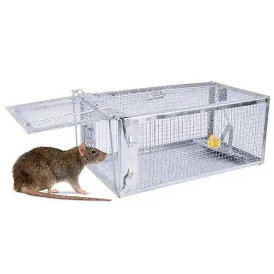 Humane Rat Trap Cage 2 Pack - Live Mouse Rodent Trap Galvanized Steel Catch Release Meifu Market