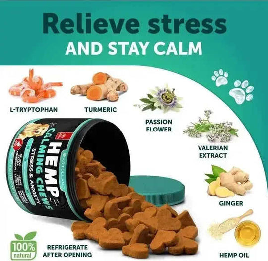 Hemp Calming Chews For Dogs Dog Anxiety Relief Treats With Hemp Oil Turmeric Valerian Ginger Health And Wellness Supplemen...