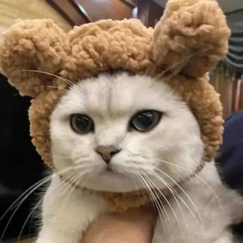 bear plush hood for pets | pet photo prop headwear | dog costume dress up accessories | energy saving