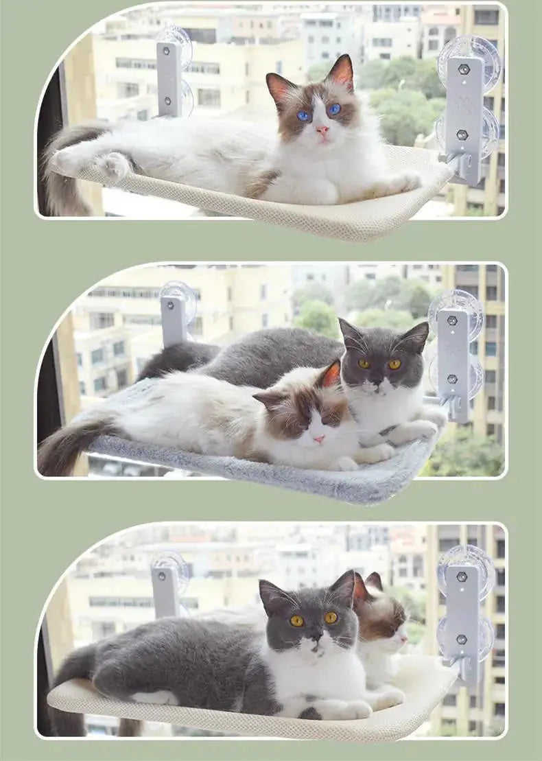 Cat Suction Cup Window Glass Hammock Pet Cat Pets Products Meifu Market