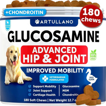 Glucosamine For Dogs Hip And Joint Supplement For Dogs With Arthritis Chews With Chondroitin Hemp Oil MSM Canine Joint Pain Relief Health Mobility Support For Large Breeds 120 Soft Treats Meifu Market