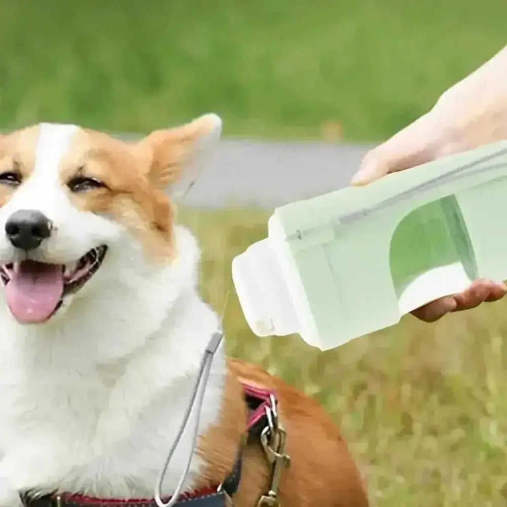 2-in-1 Travel Dog Water Bottle - Portable Pet Dispenser & Feeder - Meifu Market