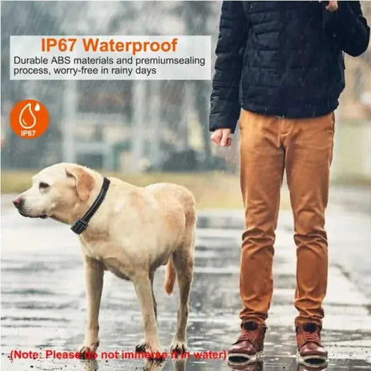 Dog Training Collar Receiver IP67 Waterproof Style1 - reverse side showing construction