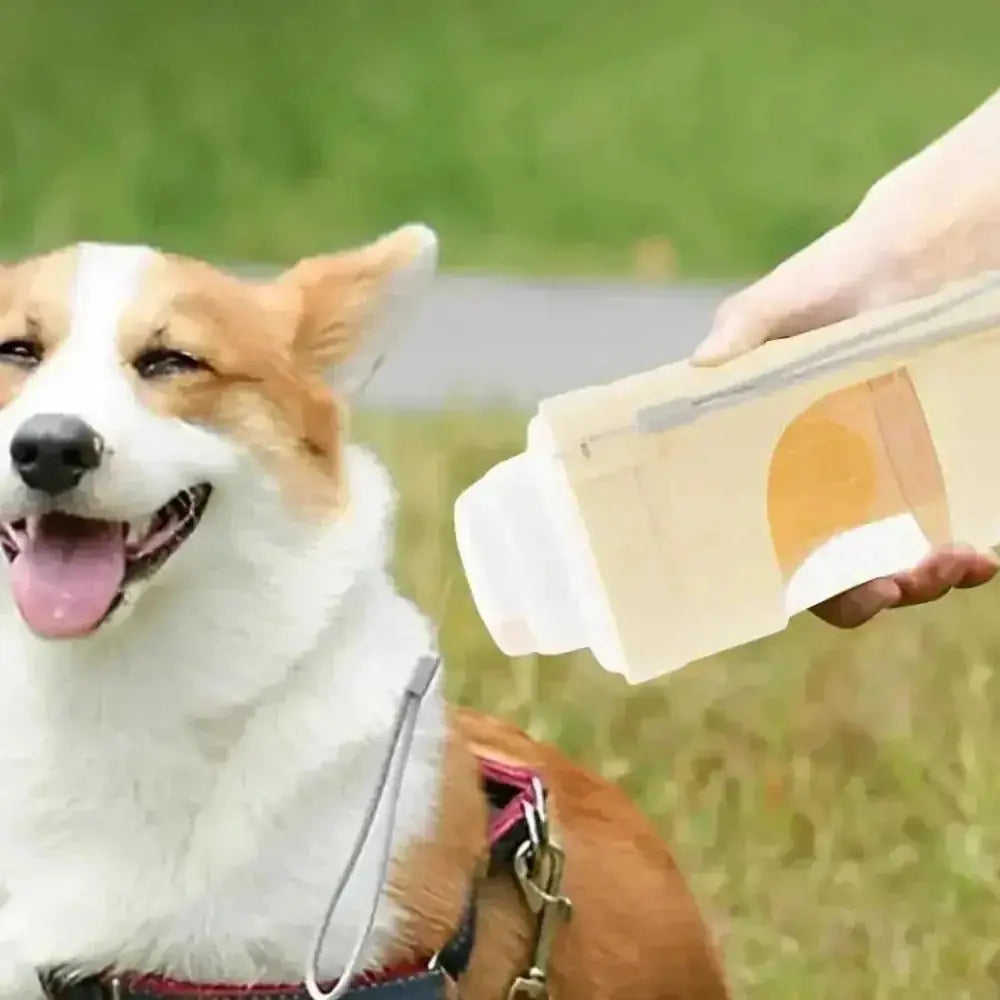 2-in-1 Travel Dog Water Bottle - Portable Pet Dispenser & Feeder - Meifu Market