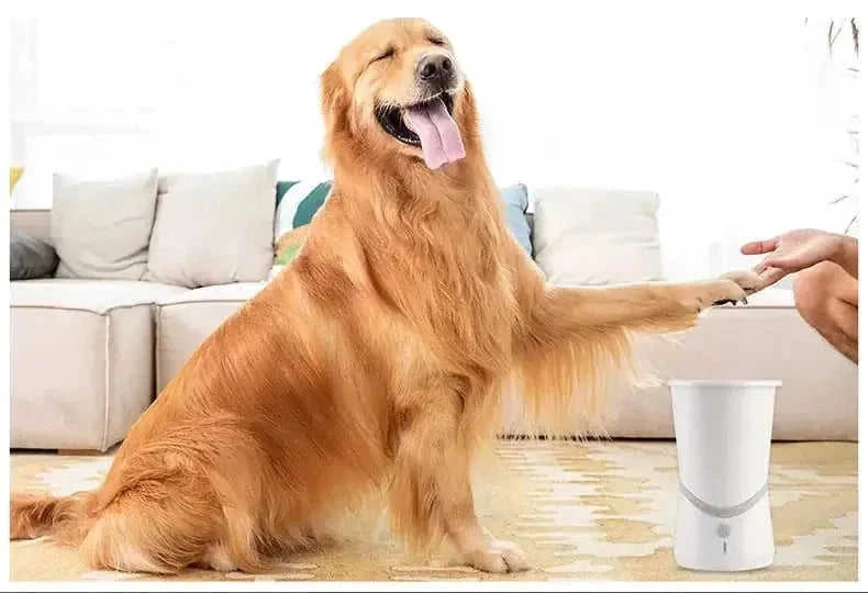 pet electric foot washer | automatic pet paw cleaner | portable pet foot bath | energy saving