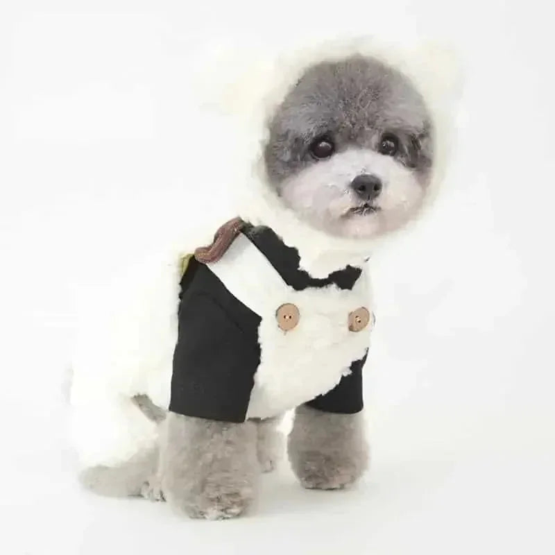 bear plush hood for pets | pet photo prop headwear | dog costume dress up accessories | energy saving