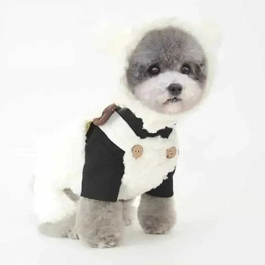 bear plush hood for pets | pet photo prop headwear | dog costume dress up accessories | energy saving