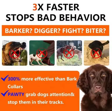 2025 New Dog Trainer Meifu Market