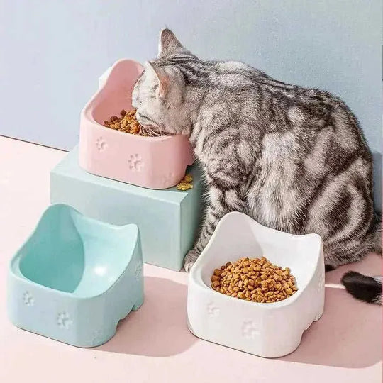 ceramic pet bowl | non-toxic ceramic dog bowl | heavy-duty ceramic cat bowl | energy saving