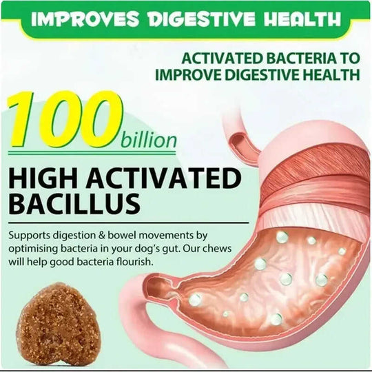 Pet Probiotics Chews - Digestive Health Supplements for Dogs Meifu Market