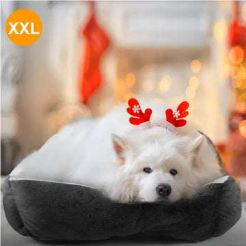 Soft Warm Fleece Puppy Cat Bed Dog Cozy Nest Sofa Bed Cushion Mat XXL Size Meifu Market