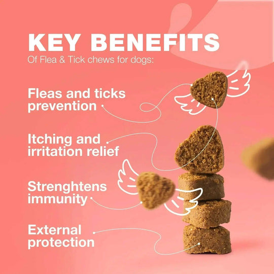 Dog Flea And Tick Treatment Chews FleaTick Prevention For Dogs Chewables Natural Dog Flea & Tick Control Soft Treats Immune Support Supplement Meifu Market