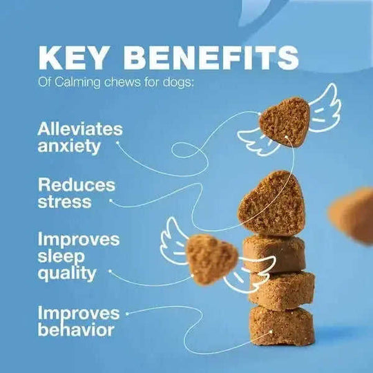 Hemp Calming Chews For Dogs Dog Calming Treats Anxiety Relief For Dogs 1PC - alternative view