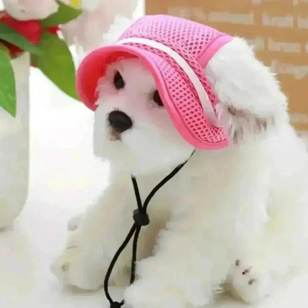 adjustable pet sun hat | uv protection for dogs | sun hat for cats | energy saving