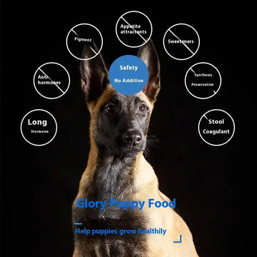 Meat Military Police Puppy Training Grain Increase Muscle Bone Strengthener Meifu Market