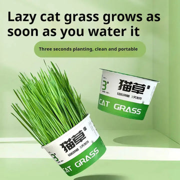 Lazy Cat Grass Canned Hydroponic Soilless Depilation Ball Digestive Snacks Meifu Market