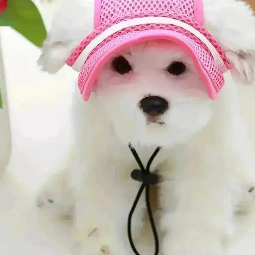 adjustable pet sun hat | uv protection for dogs | sun hat for cats | energy saving