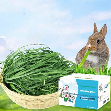 Dried Timothy FCL Hay Snacks Feed Chinchilla Guinea Pig Food Rabbits Pet Products Meifu Market