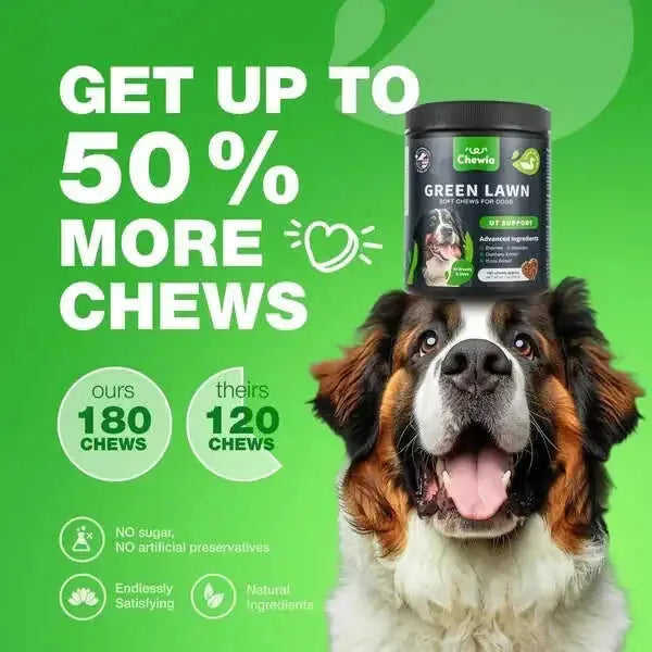 Grass Burn Spot Chews For Dogs Urine Neutralizer Meifu Market