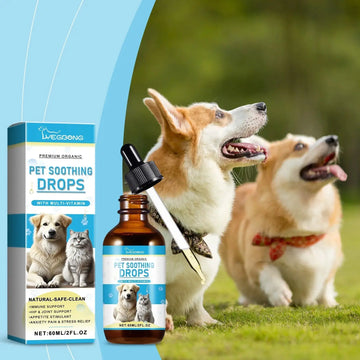 Pet Care Drops Enhance Immunity Dog Nutrition Supplement For Cats Meifu Market