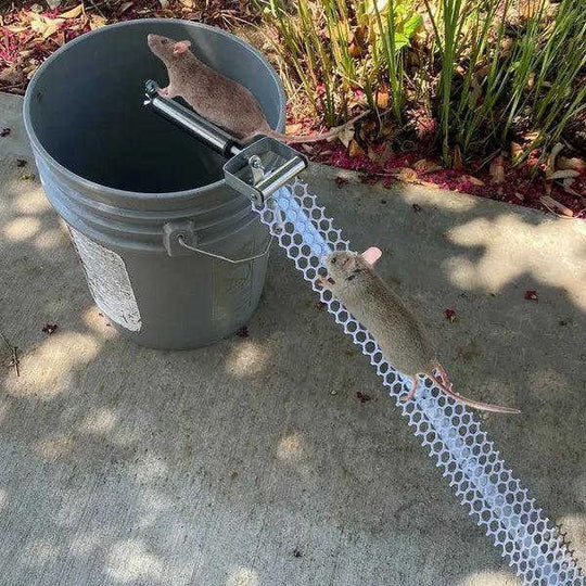 Reusable Mice Rat Mouse Killer Roll Trap Log Rolling Meifu Market