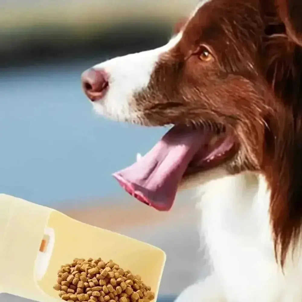 2-in-1 Travel Dog Water Bottle - Portable Pet Dispenser & Feeder - Meifu Market