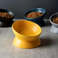 non-slip ceramic pet bowl | elevated dog food bowl | raised cat feeder with stand | energy saving