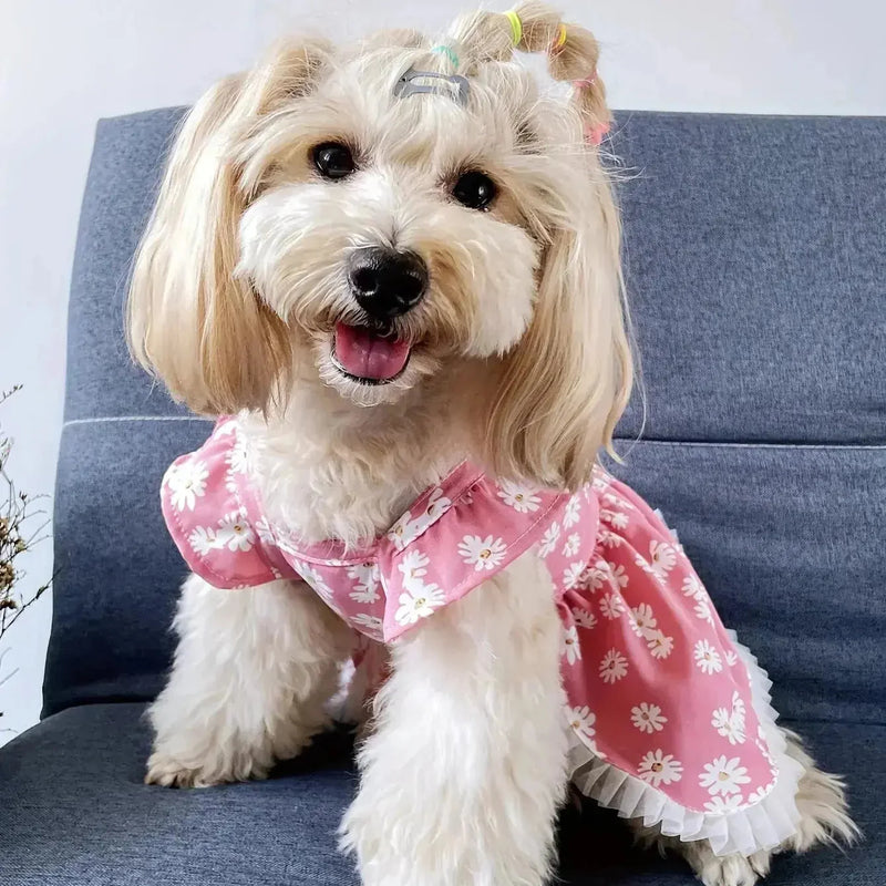 adorable daisy pet dress | soft breathable dog dress | comfortable cat loungewear | ultrasonic cleaning