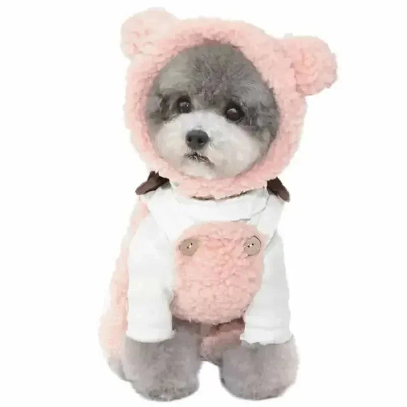 bear plush hood for pets | pet photo prop headwear | dog costume dress up accessories | energy saving