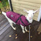 Waterproof Dog Clothes Winter Dog Coat With Harness Warm Pet Clothing Big Dog Jacket Chihuahua Labrador Coat Costume Meifu Market