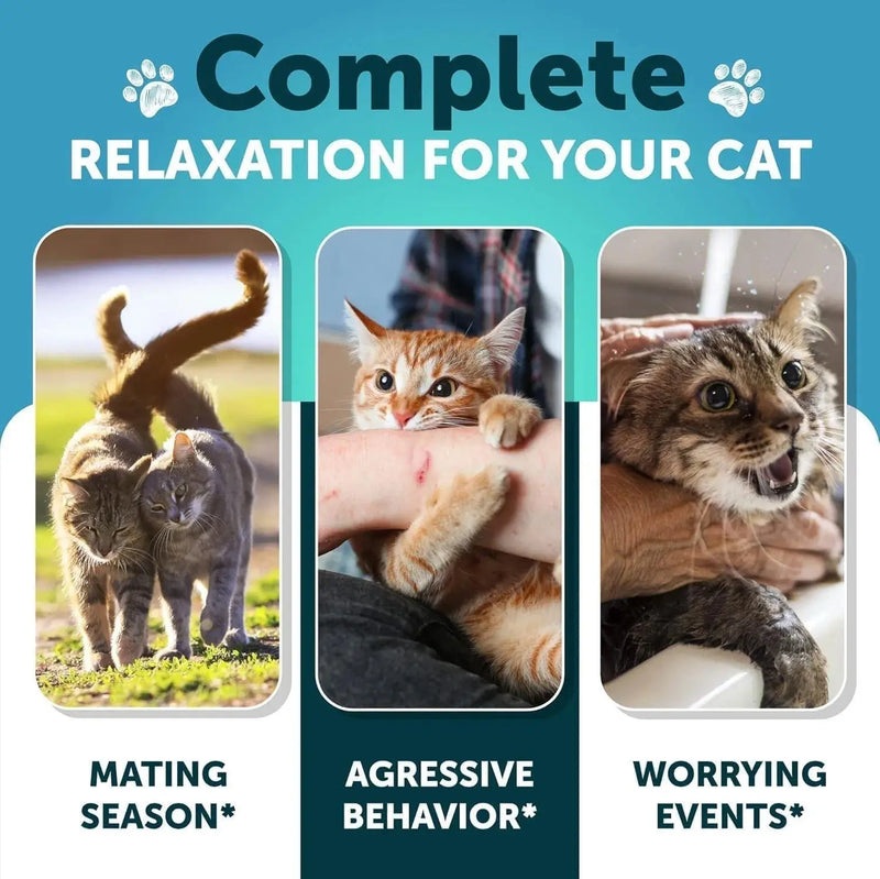 Do Not Sell On Amazon Hemp Cat Calming Treats For Stress & Anxiety Relief Cat Kittens Melatonin Meifu Market