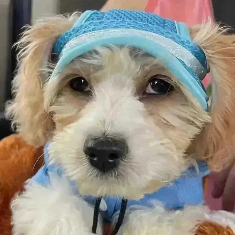 adjustable pet sun hat | uv protection for dogs | sun hat for cats | ultrasonic cleaning