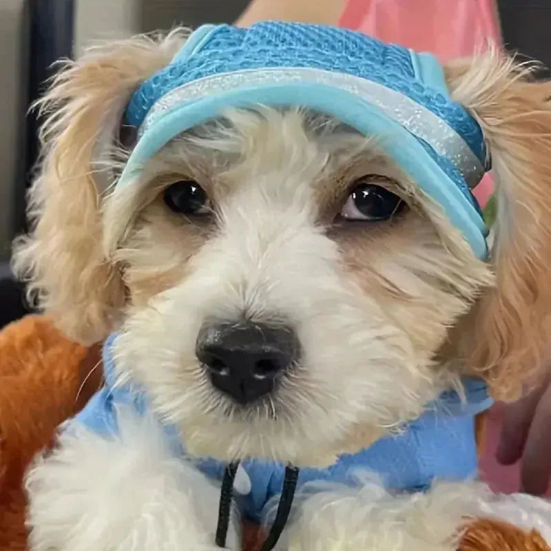 adjustable pet sun hat | uv protection for dogs | sun hat for cats | ultrasonic cleaning