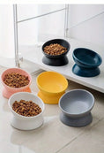 non-slip ceramic pet bowl | elevated dog food bowl | raised cat feeder with stand | ultrasonic cleaning