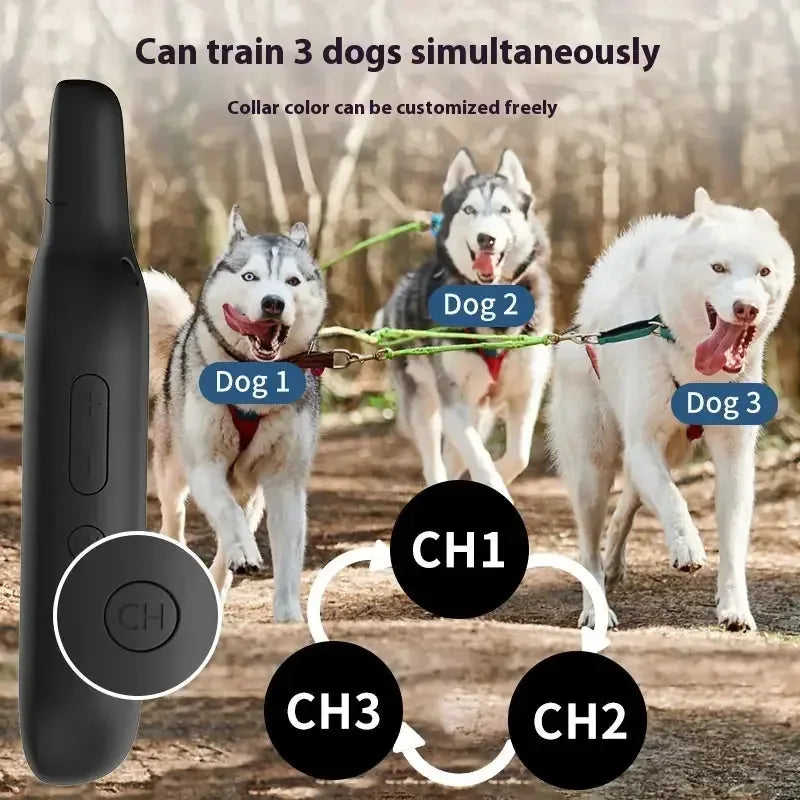 Pet Collar Waterproof Remote Control Dog Trainer Meifu Market