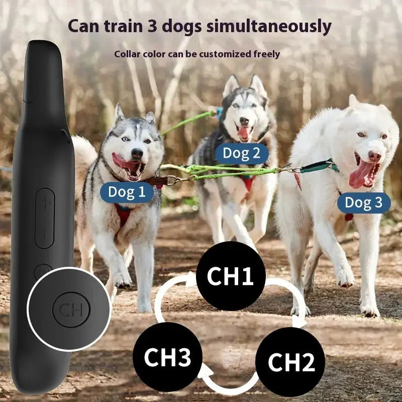 Pet Collar Waterproof Remote Control Dog Trainer Meifu Market