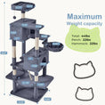 66 Inch Cat Tree Tower, Large Multi-Cat Climbing Extended Platform, Hammock, Pet House For Indoor Cats And Kittens Play Meifu Market