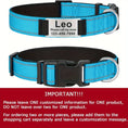 reflective dog collar | adjustable neoprene collar | padded breathable nylon collar | ultrasonic cleaning