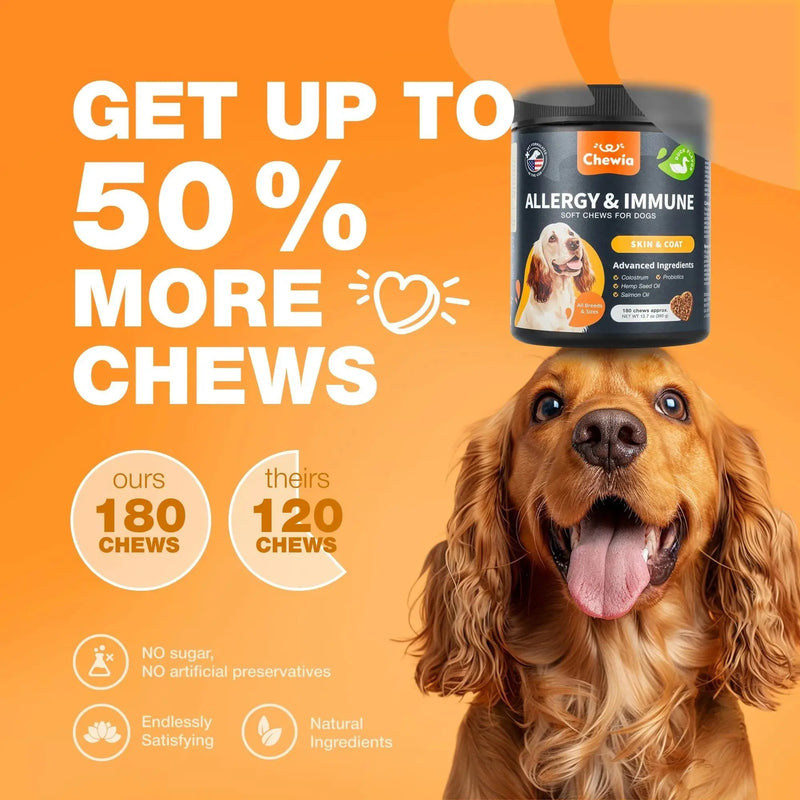 Dog Allergy Relief Chews Itch Relief For Dogs Anti Itch Dog Allergy Chews US Formulated Dog Itching Skin Relief With Salmon Oil Immune Health Seasonal Allergies & Hot Spots Support Treats Meifu Market
