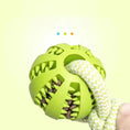 Dog Toys Treat Balls Interactive Hemp Rope Rubber Leaking Balls For Small Dogs Chewing Bite Resistant Toys Pet Tooth Cleaning Bite Resistant Toy Ball For Pet Dogs Puppy Meifu Market